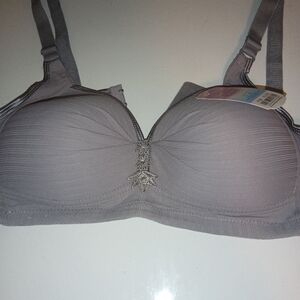 Gray Bra, Intricate Design